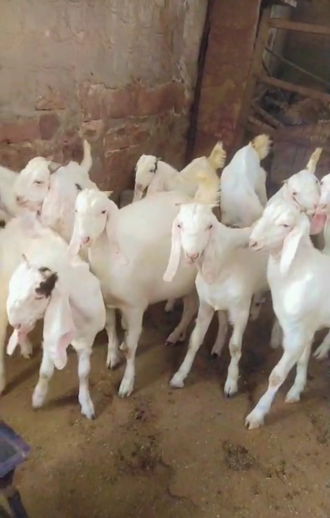 Average weight 29/30