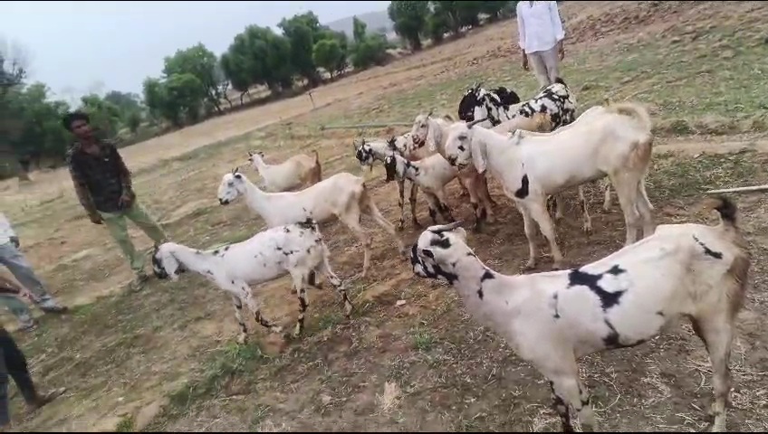 Sale ke liye 10  Ek ka 9000