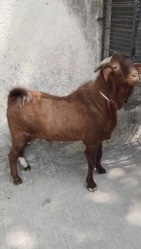 Red Bull..â˜ºï¸ðŸ”¥ðŸ”¥