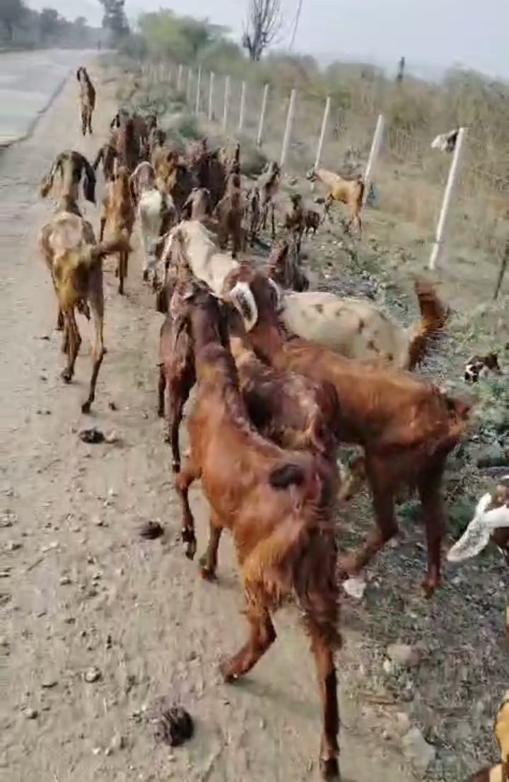 10 male and 15 female